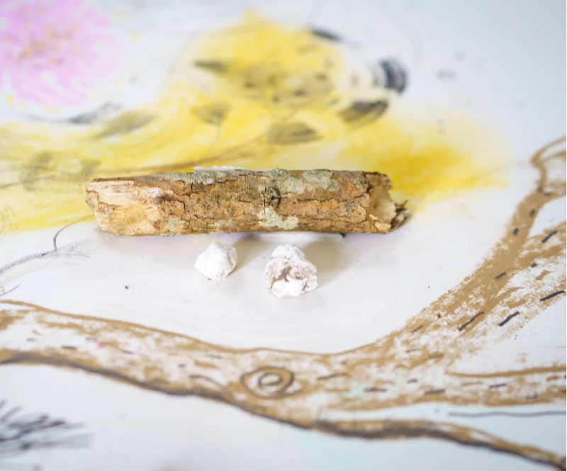 A piece of tree bark and small pieces of white stones against a piece of paper with trees painted on in various bright colours
