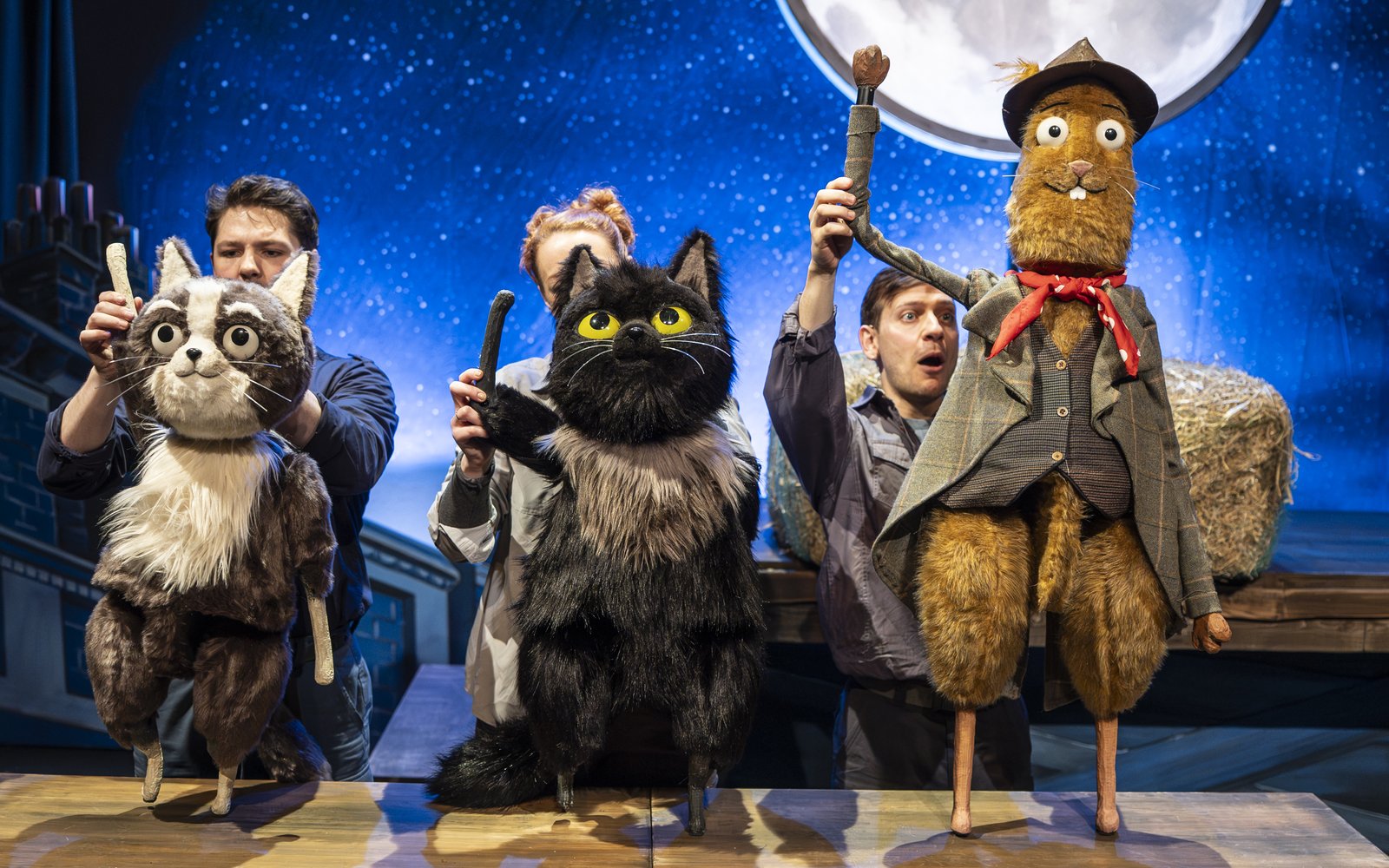 Toto the Ninja Cat Puppets