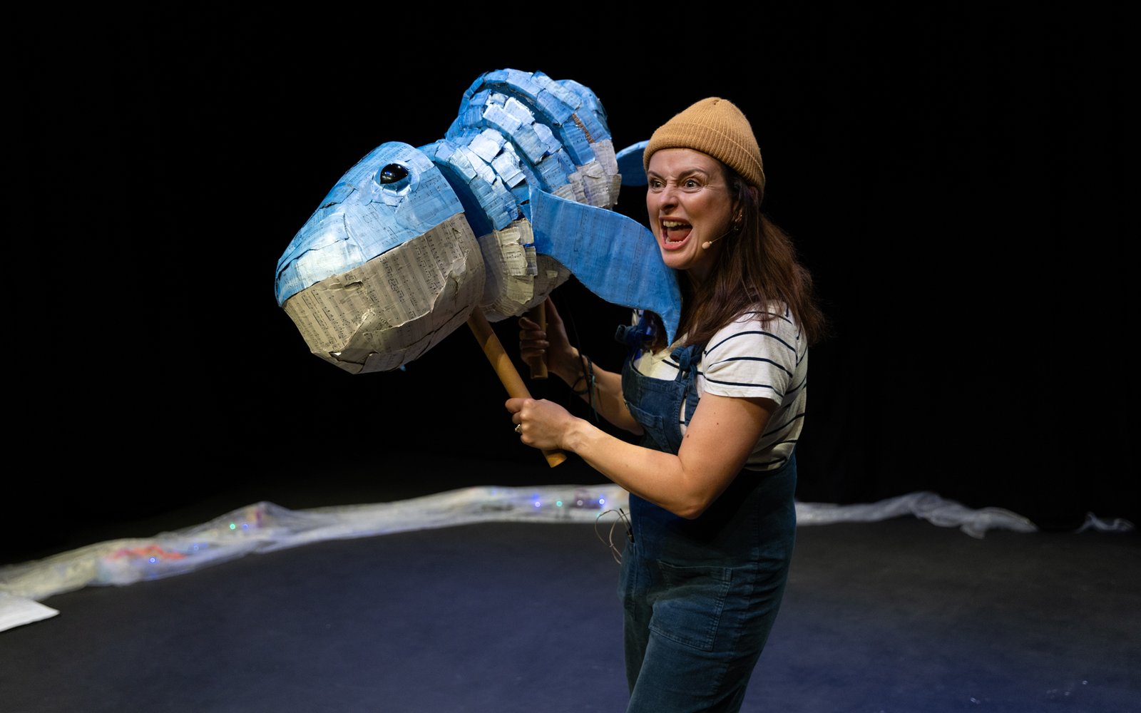 The Tale of the Loneliest Whale Prod 2