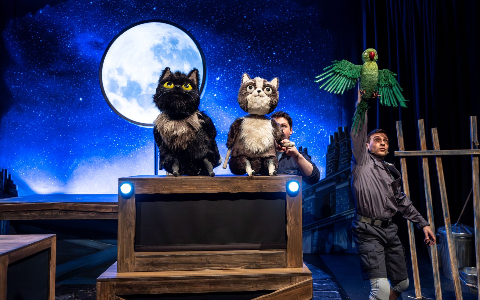Toto the Ninja Cat Puppets