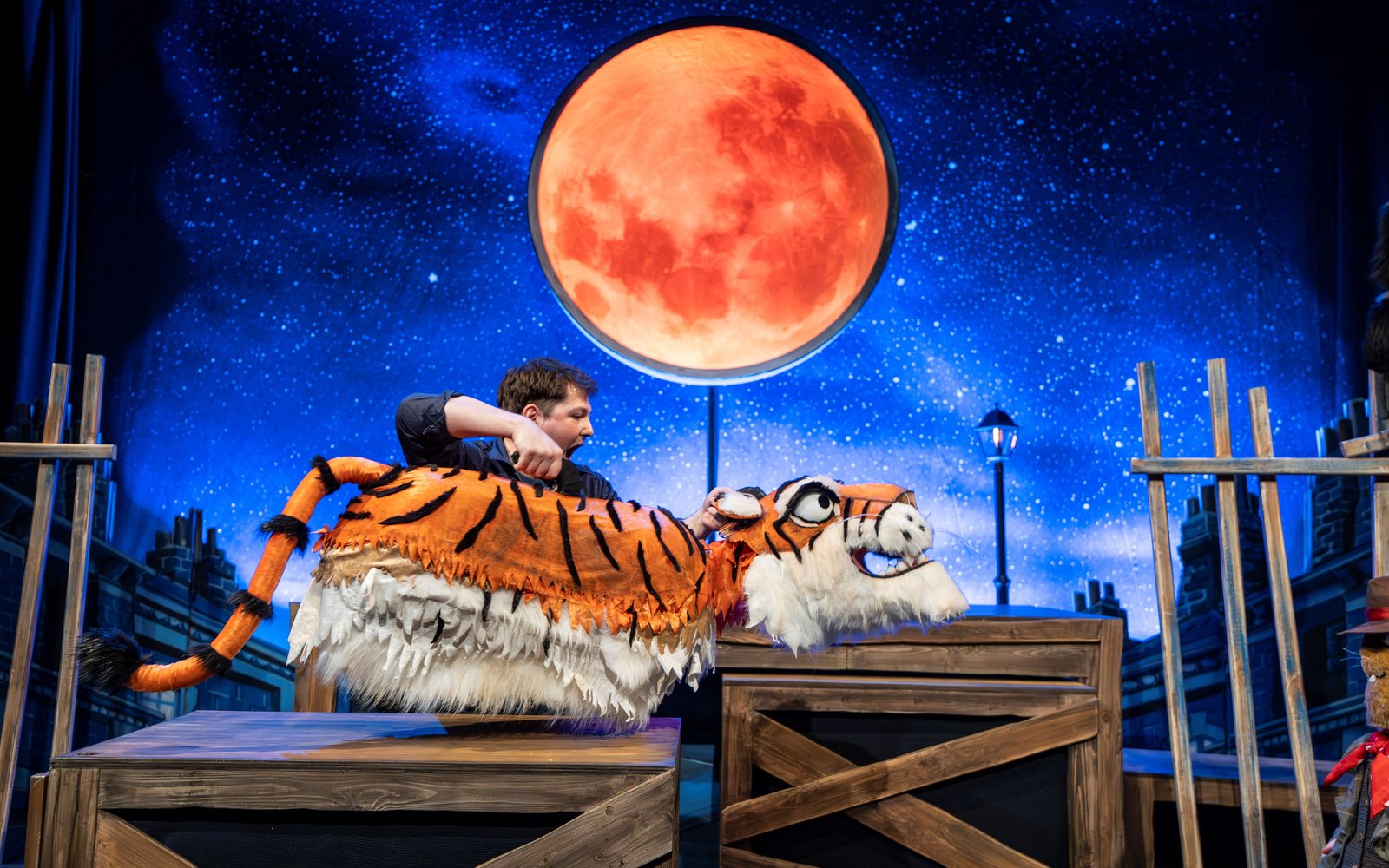 Toto the Ninja Cat Tiger Puppet