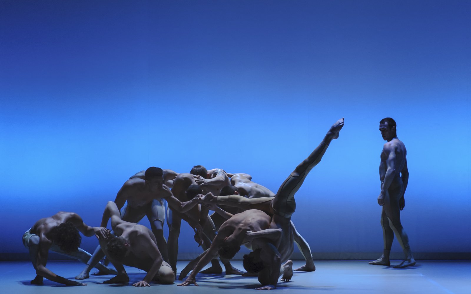 SERPENT. Credit: George Piper